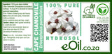 Cape Chamomile Hydrosol 100 % - eOil.co.za