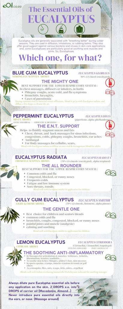 Eucalyptus Lemon Scented citriodora Essential Oil Organic - 10 ml - eOil.co.za