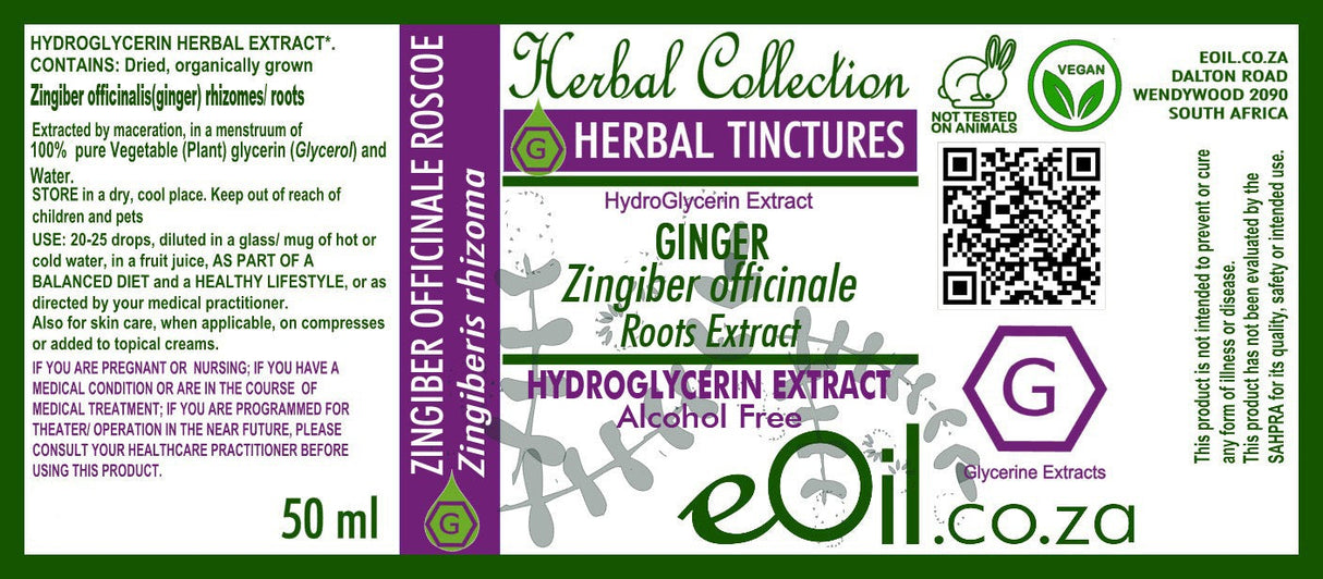 Ginger Zingiber Tincture - Vegetable Glycerine - 50 ml - eOil.co.za