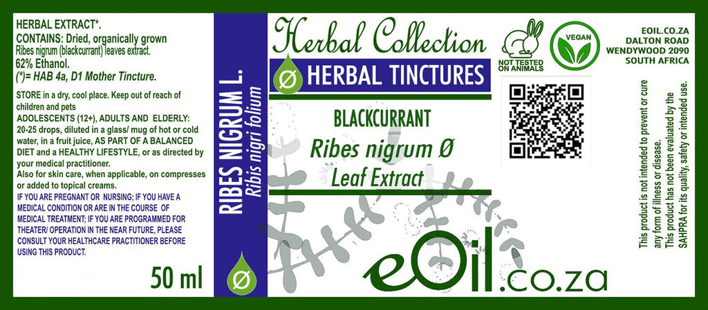Blackcurrant Tincture ( Ribes nigrum ) - 50 ml - eOil.co.za