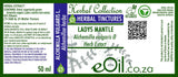 Lady's mantle ( Alchemilla vulgaris ) Tincture - 50 ml - eOil.co.za