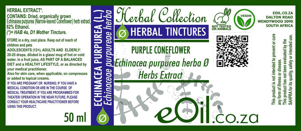 Echinacea purpurea herb | Purple Coneflower Tincture - 50 ml - eOil.co.za