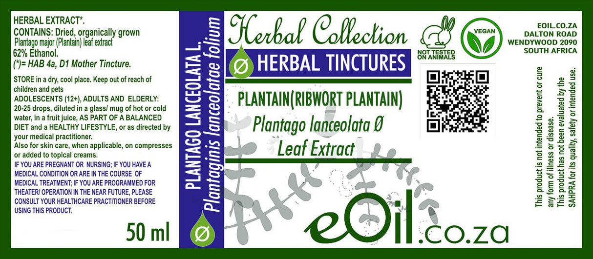 Plantain Tincture ( Plantago major ) - 50 ml - eOil.co.za