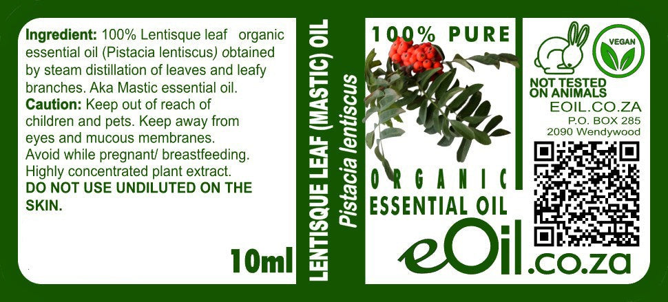Lentisque Leaf Mastic (Pistachia lentiscus) essential Oil - 10 ml - eOil.co.za