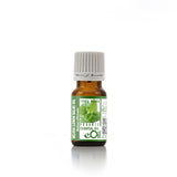 Melissa ( Lemon Balm) Organic Essential Oil - 10 ml - eOil.co.za