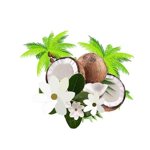 eOil.co.za macerated carrier oil monoi tiare gardenia taitensis tahitensis monoi de tiare 100 % pure Tahiti coconut extra virgin carrier oil natural flower fragrance hair and body oil infused after sun