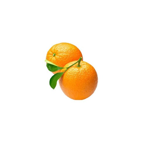 SWEET ORANGE ORGANIC ESSENTIAL OIL (Citrus sinensis) 10 ml - eOil.co.za