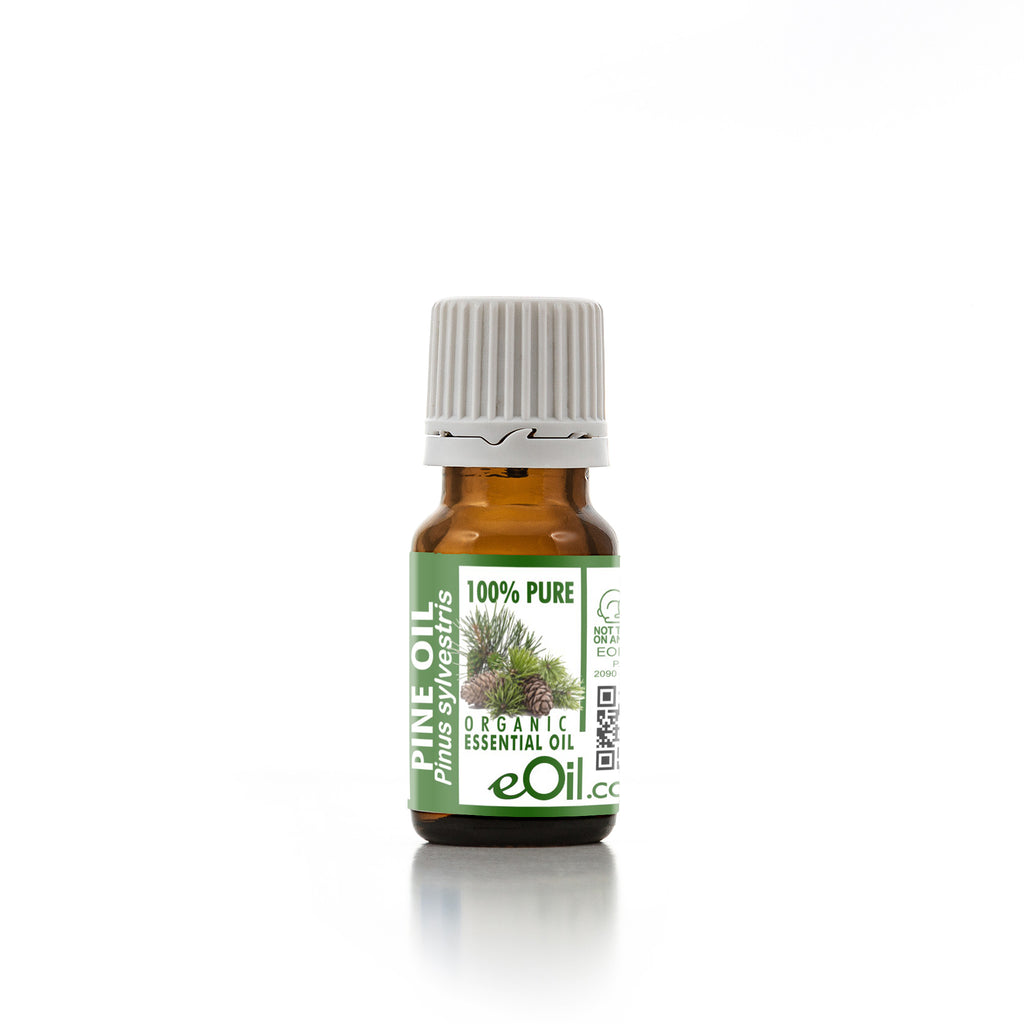 Pine Scots Organic Essential Oil (Pinus sylvestris) - 10 ml - eOil.co.za