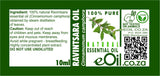 SYNERGY DIFFUSION OUR ESSENTIALS STARTER KIT - eOil.co.za