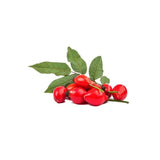 ROSEHIP WAX (Rosa rubiginosa) ACTIVE INGREDIENT 50 ml - eOil.co.za