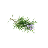 ROSEMARY HYDROSOL NATURAL (Rosmarinus officinalis) 100 ml - eOil.co.za