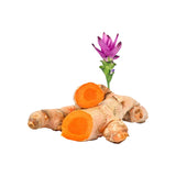 eOil.co.za turmeric curcuma essential oil kasturi